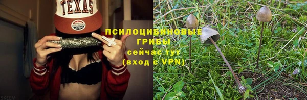 бутират Баксан